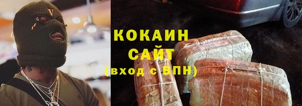 ECSTASY Богородицк