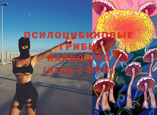 прущий лед Богородск