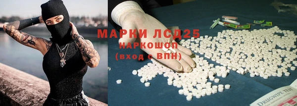 амф Богданович