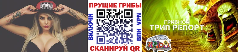 Галлюциногенные грибы Psilocybe  маркетплейс формула  Рязань 